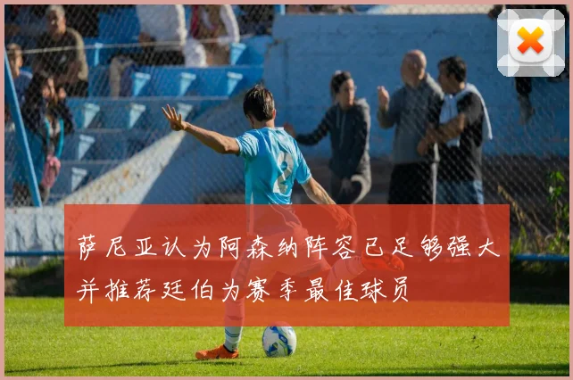 萨尼亚认为阿森纳阵容已足够强大并推荐廷伯为赛季最佳球员